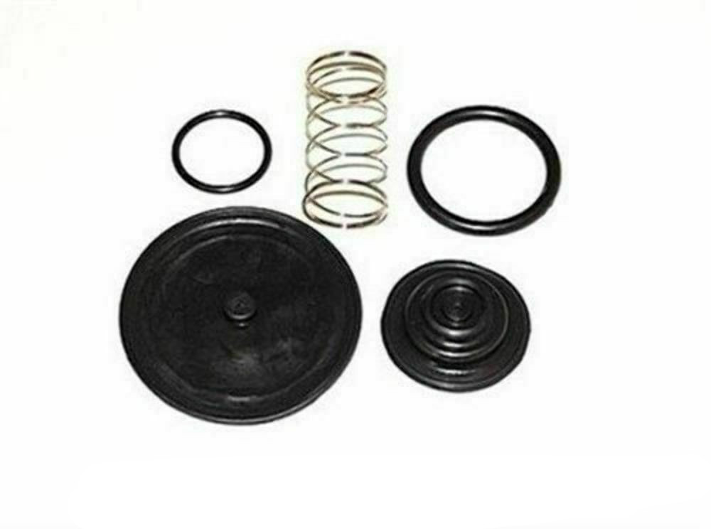 FUEL PETCOCK REPAIR KIT